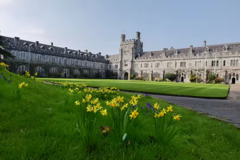 University College Cork International Scholarships, Ireland