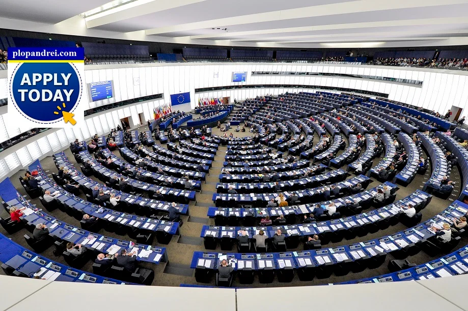 European Parliament Traineeship