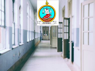 How to Access Zimsec Portal Login
